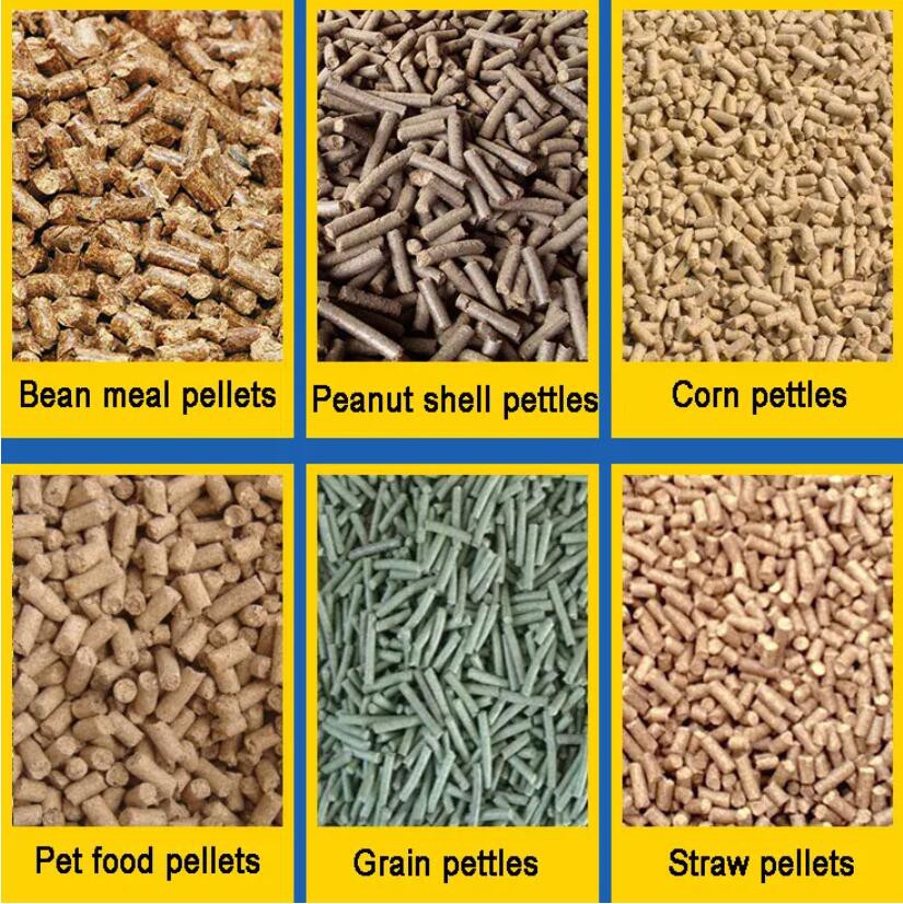chicken pellet machine chicken pellet machine