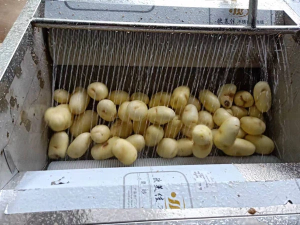 industrial carrot peeler industrial carrot peeler