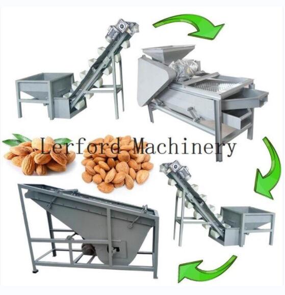 Hazelnut sorter Hazelnut sorter