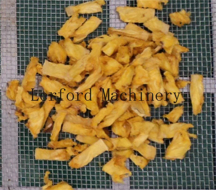 fruit dehydrator machine