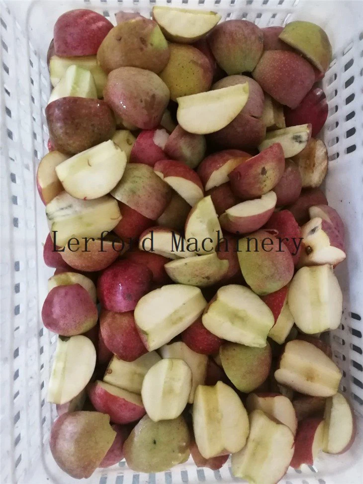 cherry pitter machine